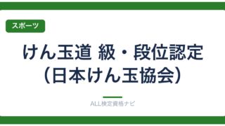 けん玉道 級・段位認定（日本けん玉協会）
