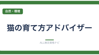 猫の育て方アドバイザー